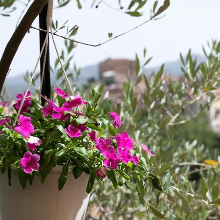 Panorama カステルブオーノ