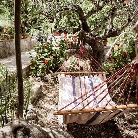 Bed & Breakfast Panorama