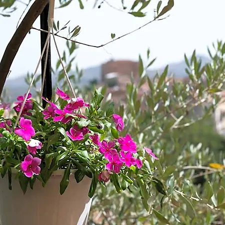 Panorama 3* Castelbuono (Sicily)